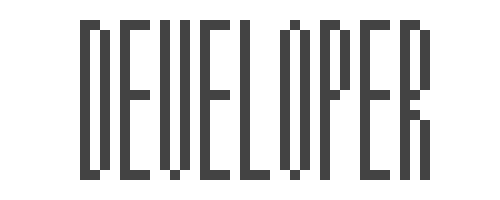developer